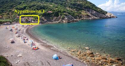 2-Room apartment with terrace overlooking the sea, private parking