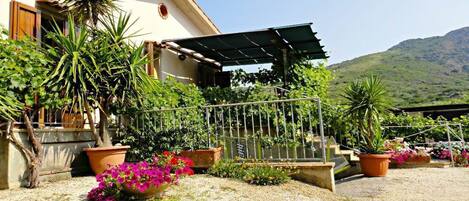 A building with a sloped roof, surrounded by potted plants and a gravel driveway.