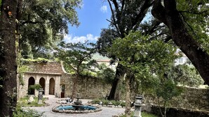 Jardín japonés