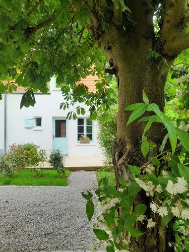 Petite maison mitoyenne à 5 minutes de la plage de Wissant.