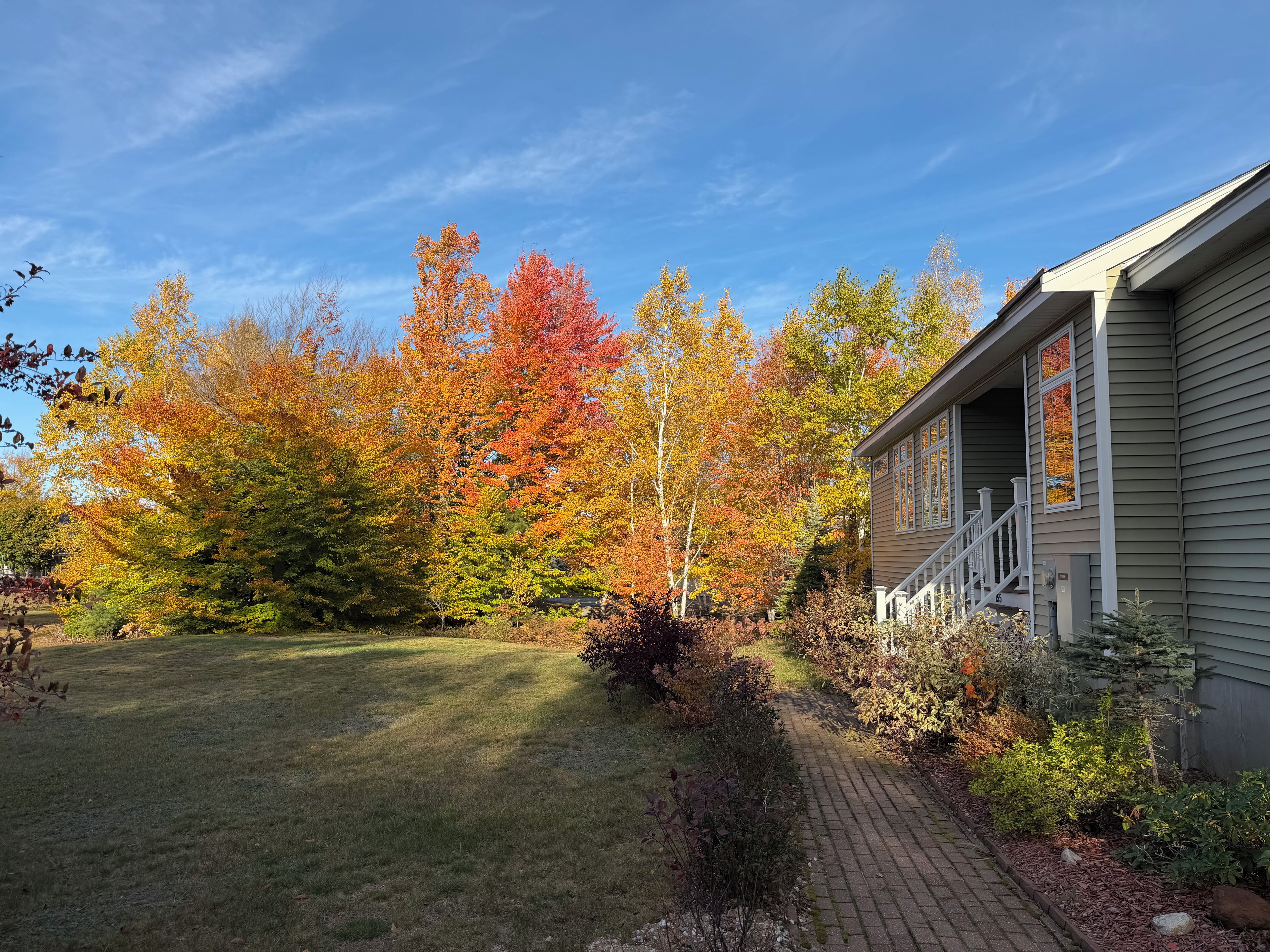 A residential property with a well-maintained lawn, a brick pathway, and a variety of trees with autumn foliage.
