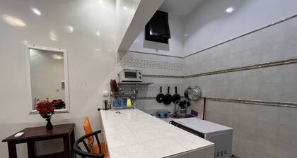 N9 Studio Americain (Salamandre)