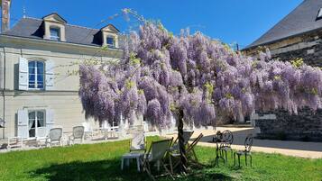 Terras