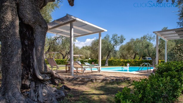 Un espace piscine agrémenté d’une pergola, de chaises longues et d’une piscine.