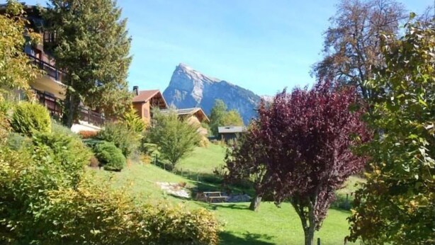 A residential area with houses, a prominent mountain in the background, and a tree with purple leaves in the foreground. - LA COURTIONE APARTMENT IN CHALET (Samoëns)