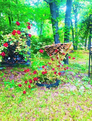 Surrounded by lush greenery, this garden offers a serene escape with a variety of plants and flowers.
