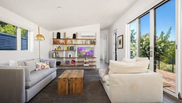 Télévision, cheminée, livres, espaces bureaux