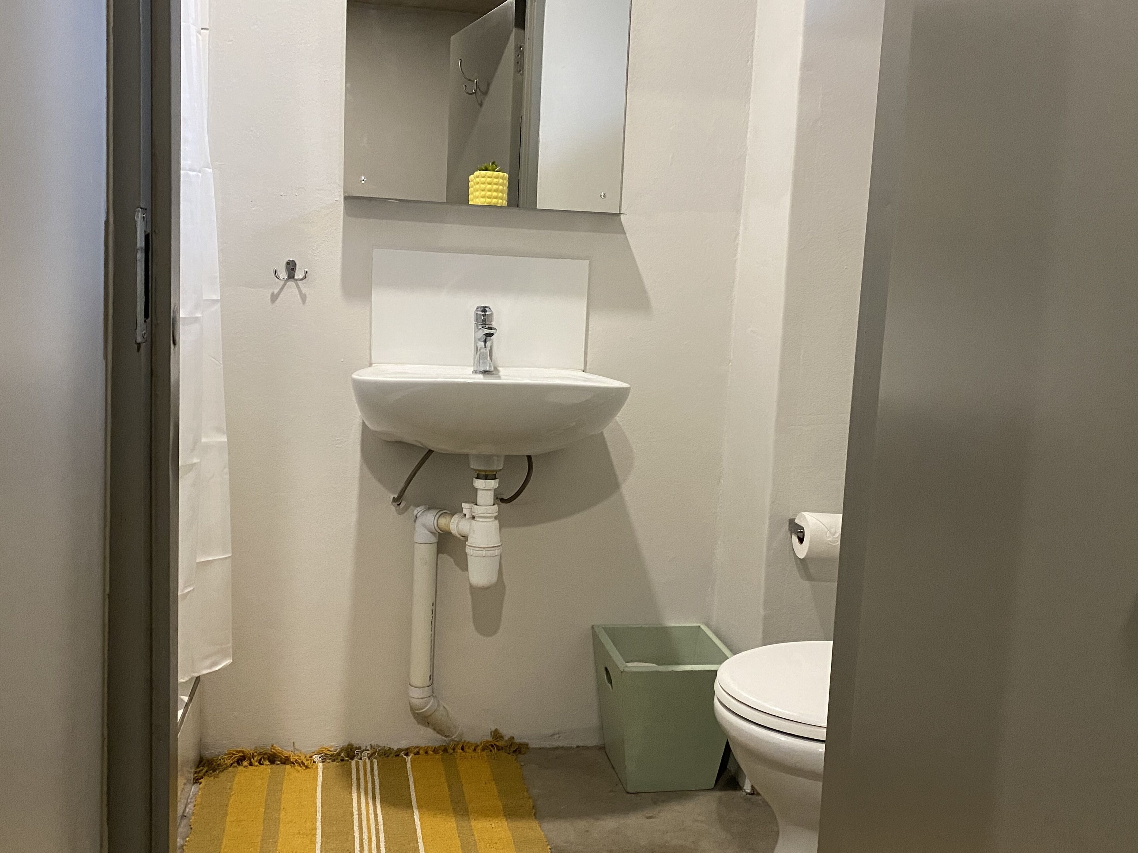 A bathroom with a white sink, a mirror above it, and a toilet. There is a green trash bin next to the toilet.