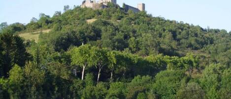 A castle on a hill with dense forest and a body of water in the foreground.