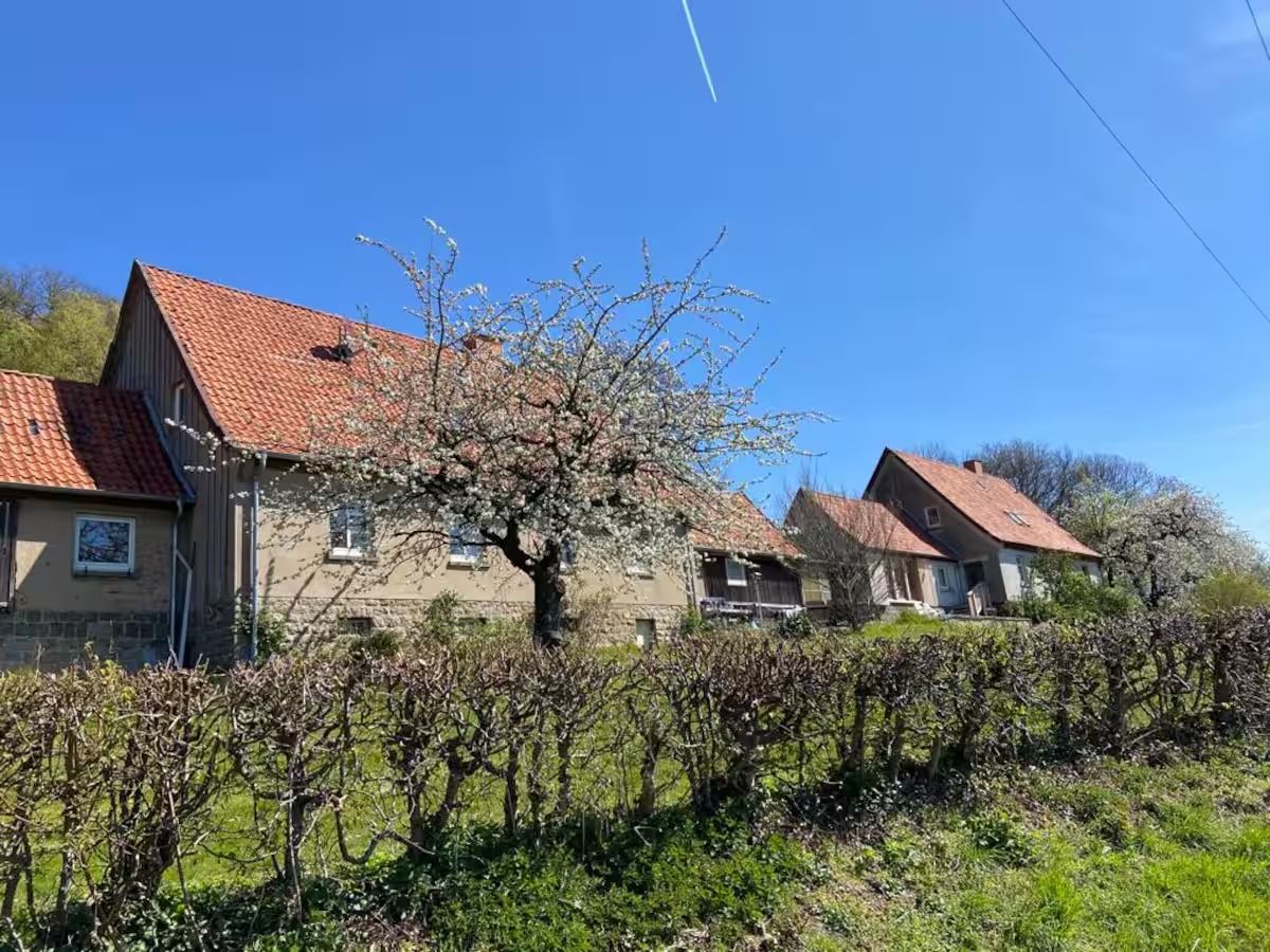 Un quartier résidentiel avec des maisons, un vignoble et un ciel dégagé.