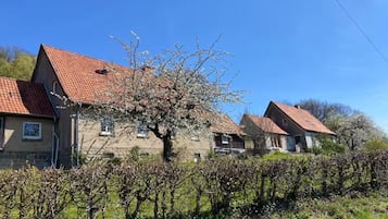 Zona residencial com casas, vinhedo e céu claro.