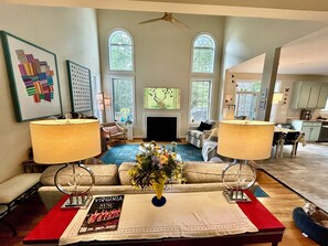 Smart TV, fireplace, books