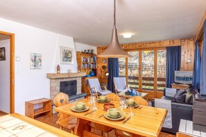 TV, fireplace, DVD player, video library