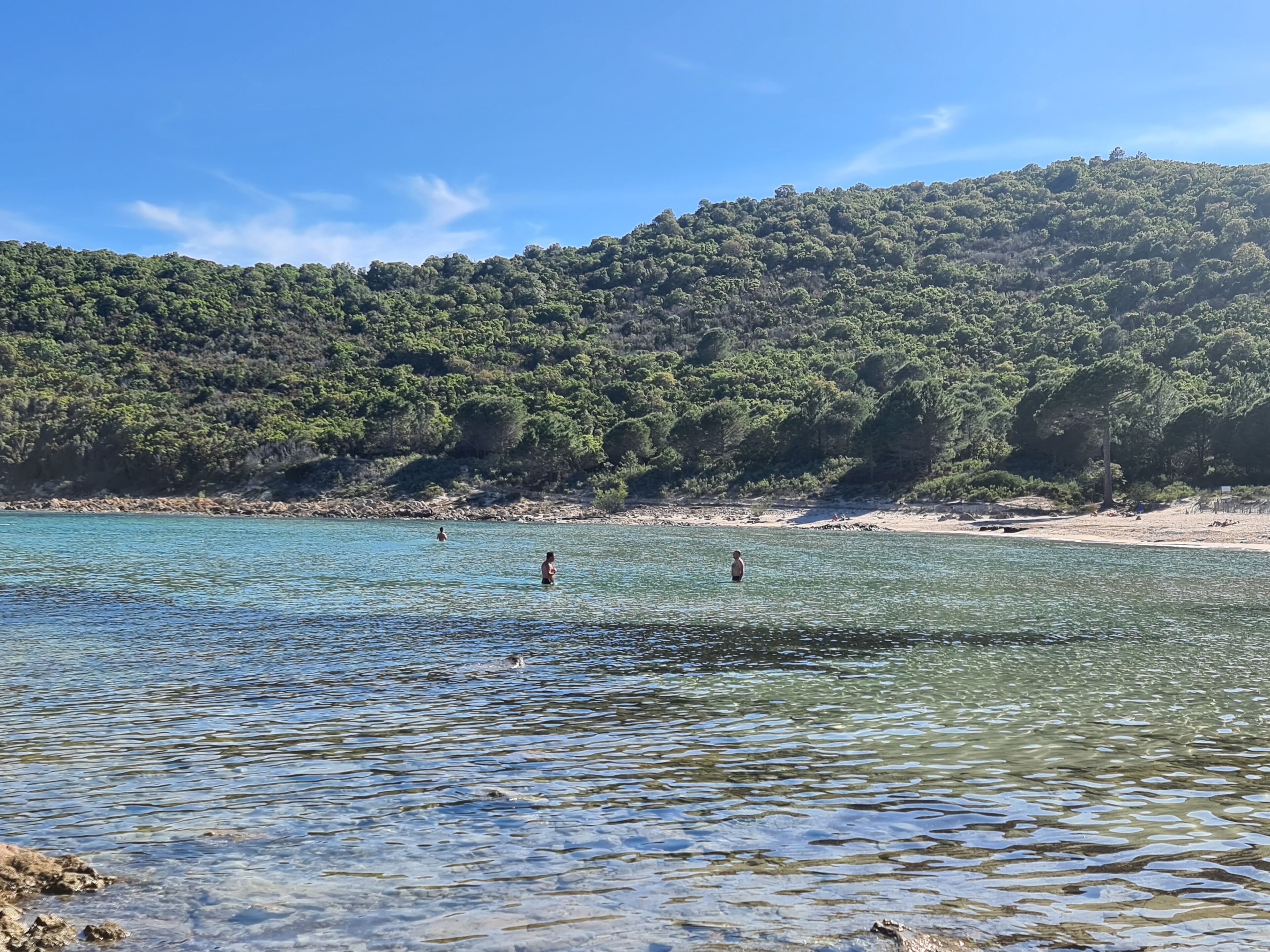 Strand