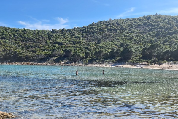 Strand
