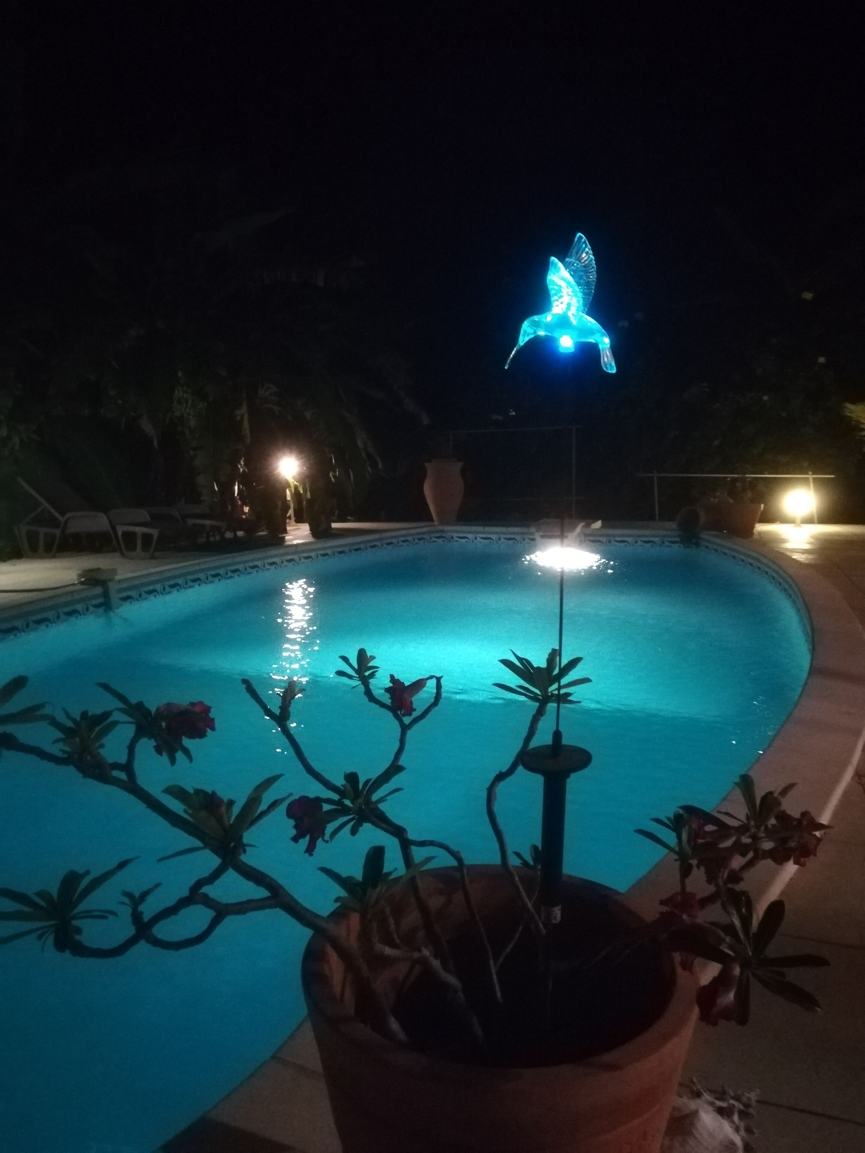 Piscina climatitzada 