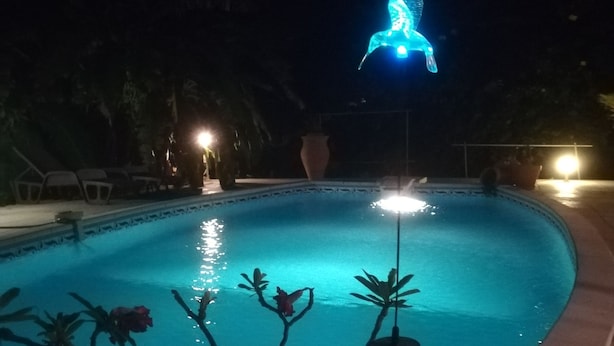 Un área de piscina iluminada durante la noche, con una escultura azul brillante a lo lejos, rodeada de plantas en macetas y sillas de descanso.
