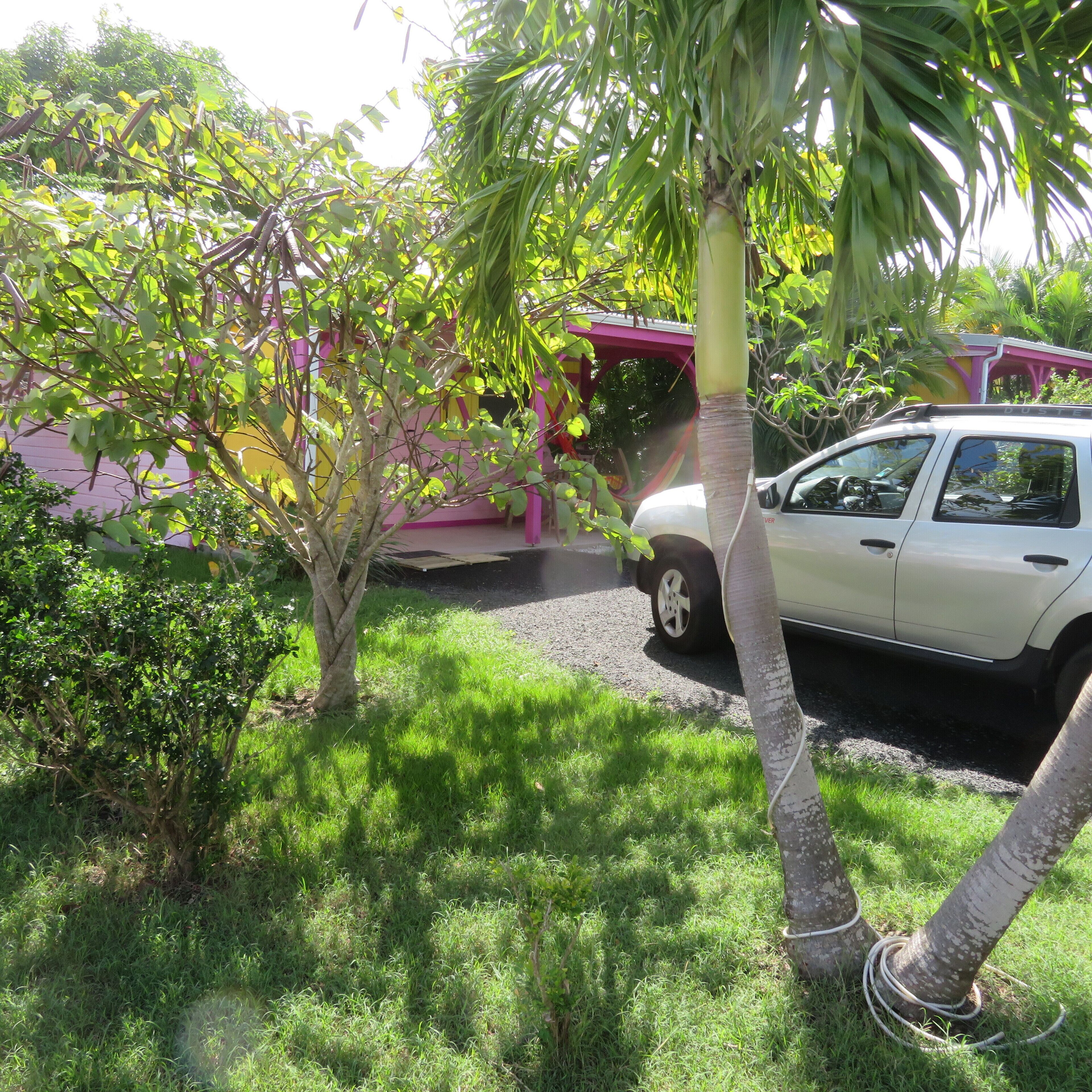 Un cotxe blanc aparcat en una zona verda amb un arbre i un edifici rosa al fons.