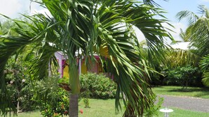 Un jardín bien cuidado con una palmera, un farol blanco y un edificio de paredes amarillas y rosadas.