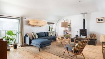 Televisión, chimenea y libros