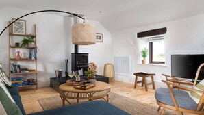 Una sala de estar moderna con chimenea, televisor y estantería.