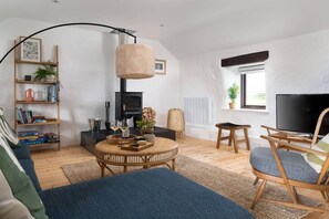 TV, fireplace, books - Cosy barn, walk to 3 beaches (Porthcurno)