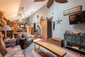 Smart TV, fireplace, books