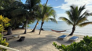 A beach with palm trees, a hammock, and lounge chairs. - Beachfront Home with 3 Private Units • Perfect for Couples or Families (Maya Beach)