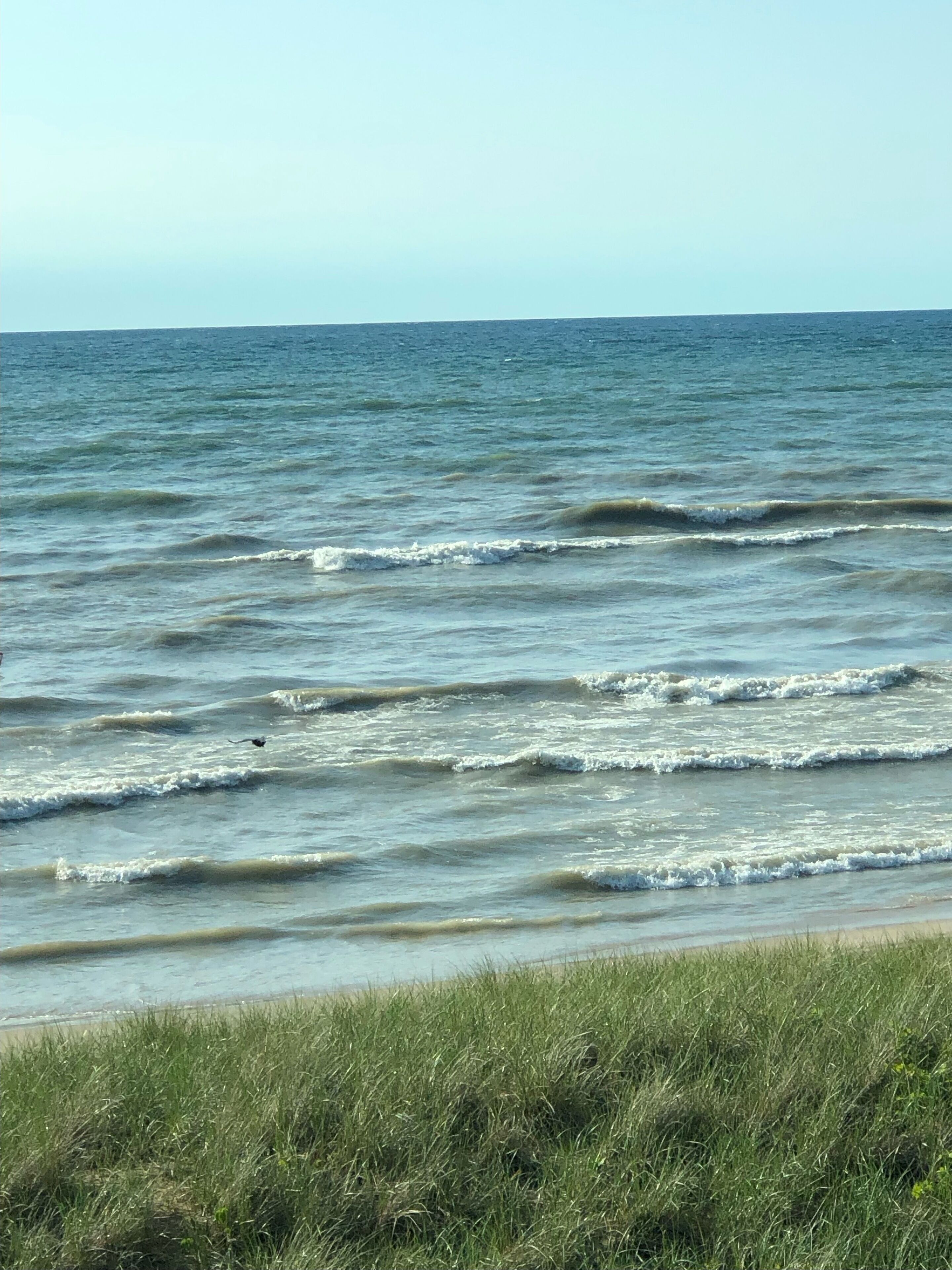 A beach with waves and a grassy foreground.