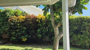 Un espacio al aire libre techado con baranda de madera, un árbol y un seto cuidado.