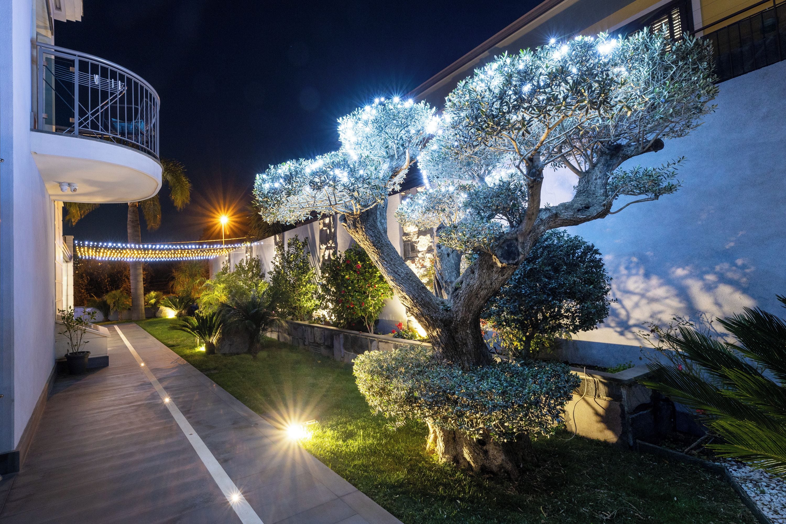 A well-lit outdoor area with a pathway leading to a building entrance, surrounded by various trees and shrubs.