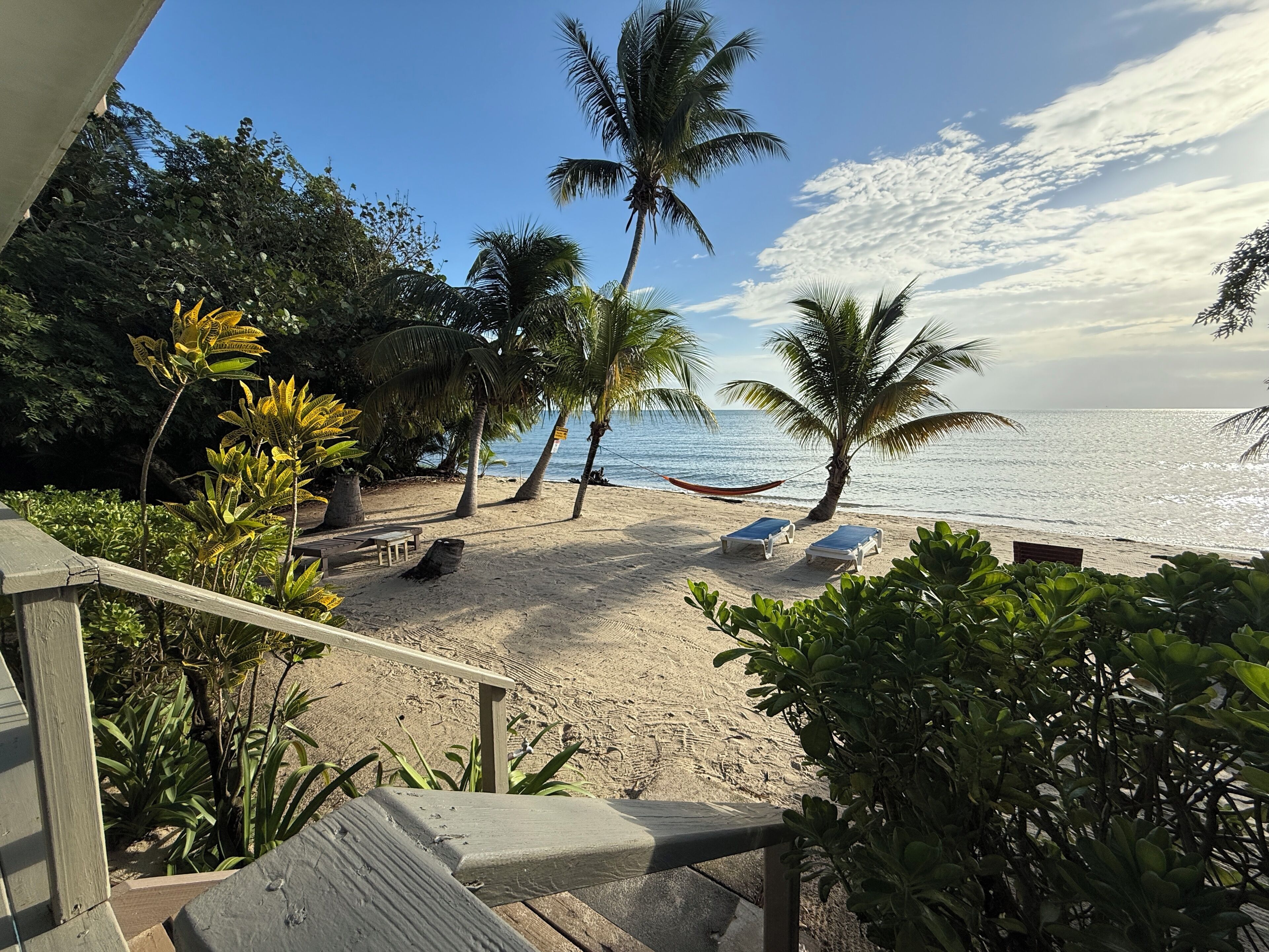 Plage, chaises longues, serviettes de plage