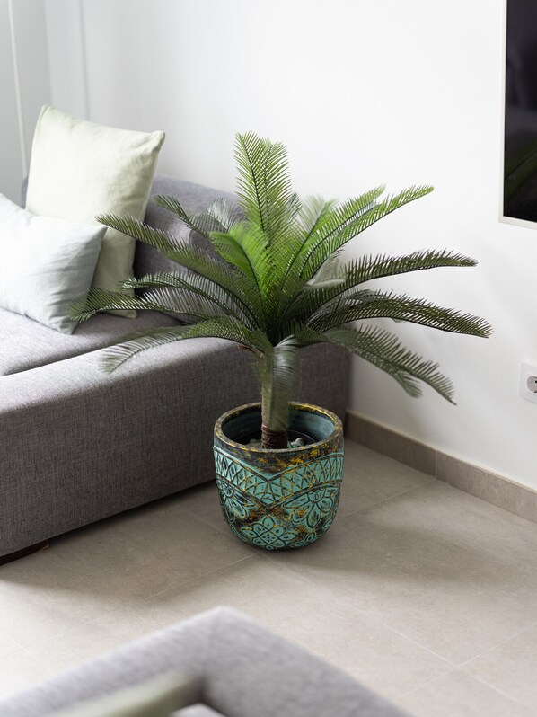 Televisión y estéreo 