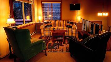 Smart TV, fireplace, books