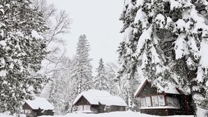 File di casette di legno ricoperte di neve, circondate da alti alberi sempreverdi.