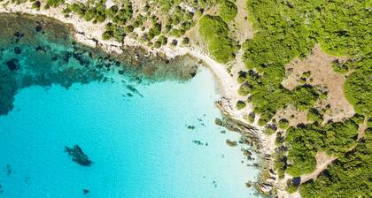 Villa Oleandri 50m From Seashore