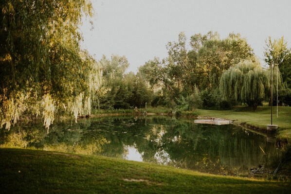 A serene pond surrounded by lush greenery and trees.