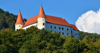 Pool Villa Silva Marija - App 102