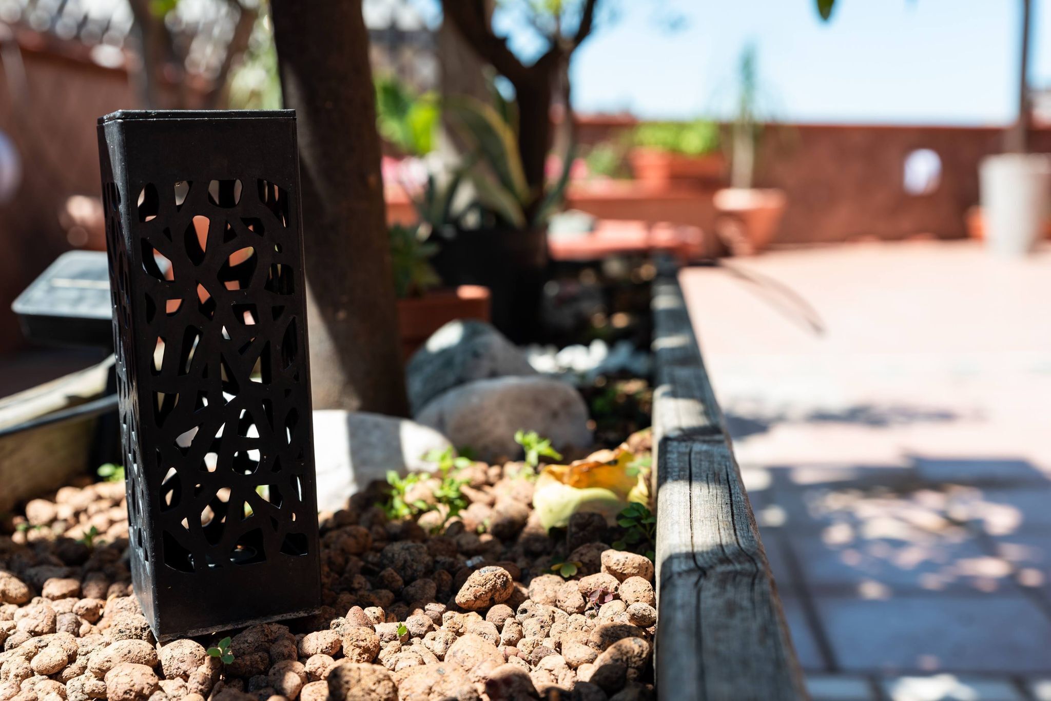 Foto - L'Attico Fuggente