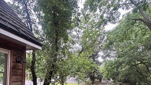A wooden deck with a railing, three black plastic stools, and a potted plant. - Charming home in downtown Camden (Camden)