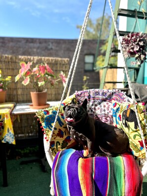 Property grounds - Beautiful 2-BR w/Private Terrace in Historic Ft. Greene, Brooklyn NY (Brooklyn)
