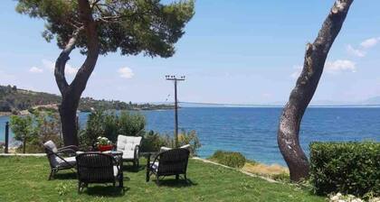 Villa Sophia in Drosia, Chalkis