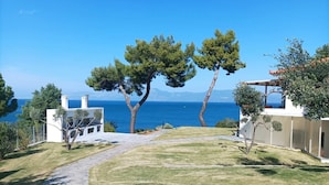 Una villa moderna con camino de entrada pavimentado, césped cuidado y vistas al mar.
