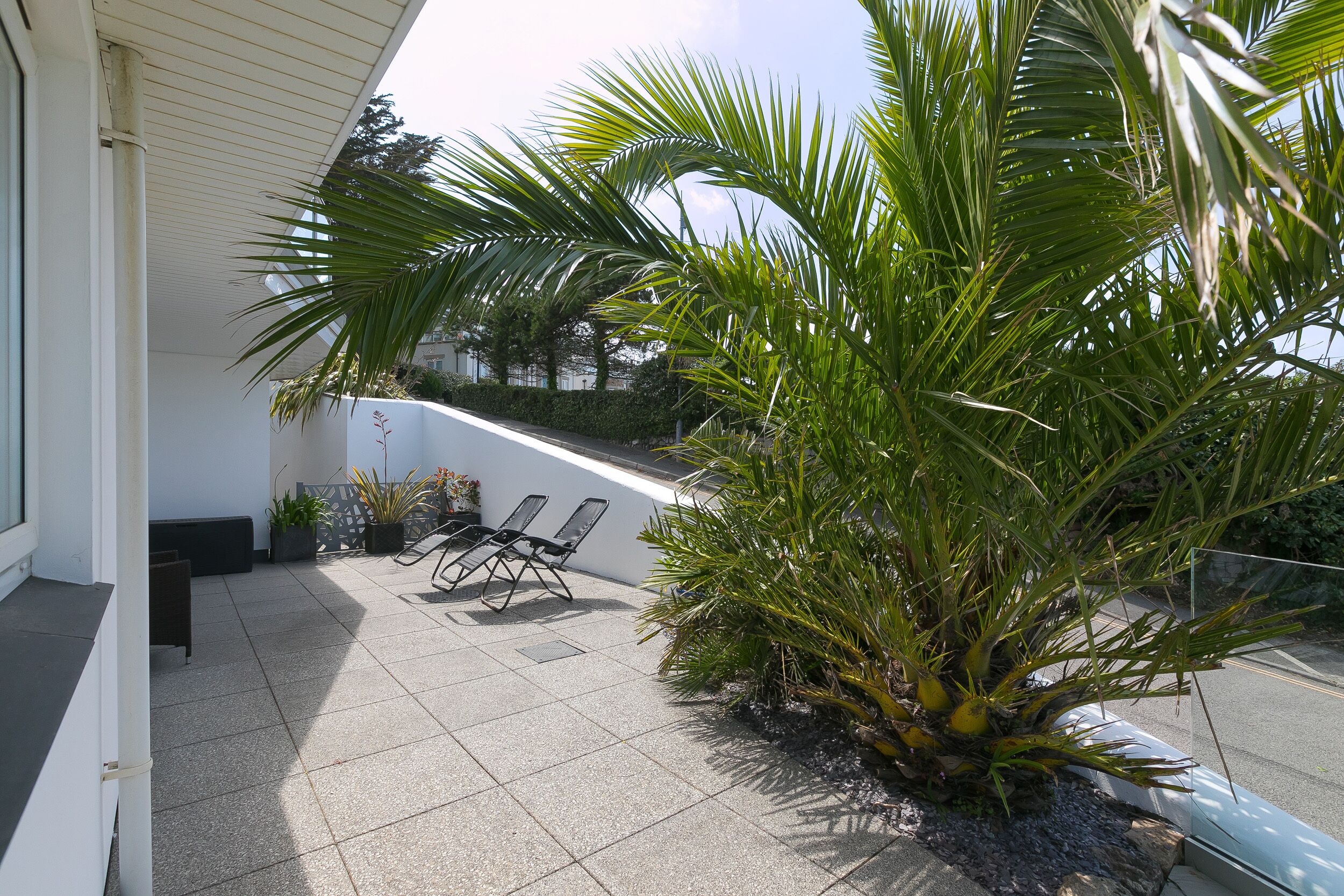 Un espacio al aire libre techado con una palmera, dos sillones de descanso y un muro bajo.