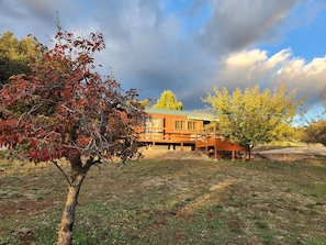 Une cabane en bois dotée d’une terrasse, entourée d’arbres aux feuilles d’automne.