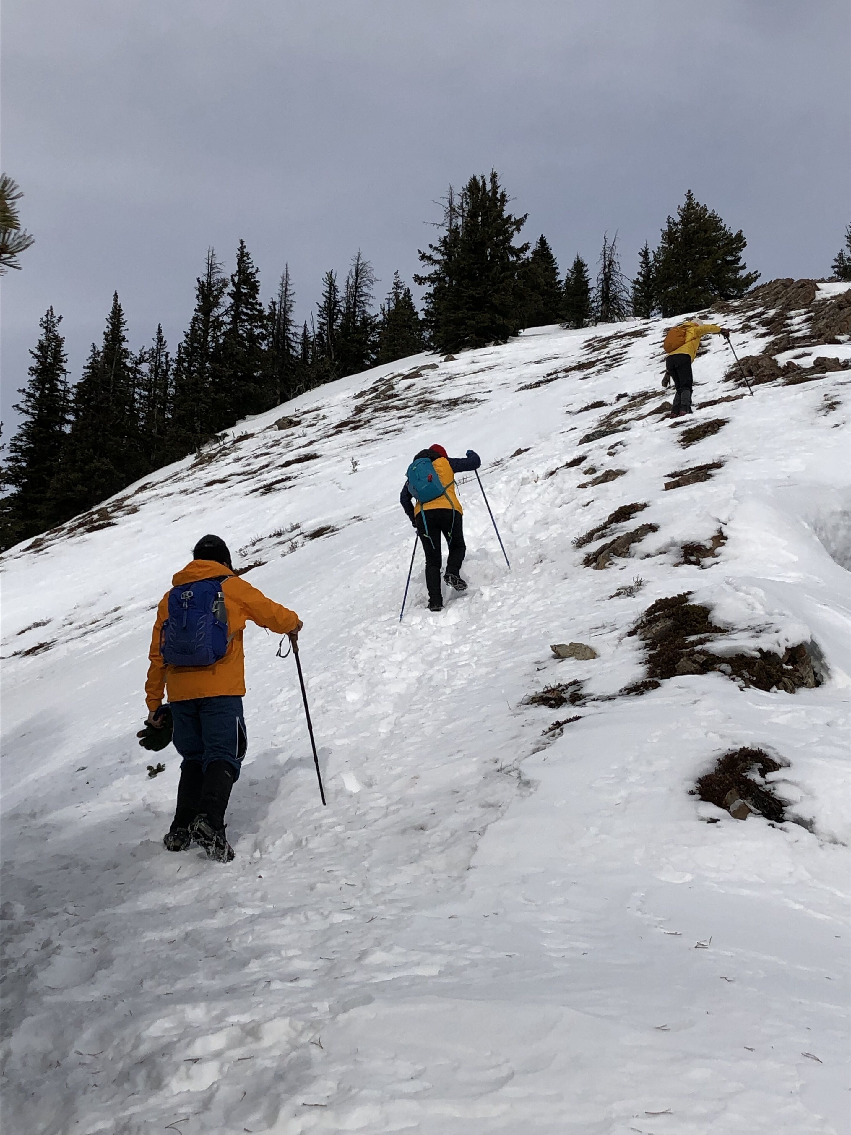 Een besneeuwde bergpad met wandelaars.