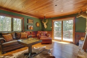 TV connectée, cheminée, livres, médiathèque