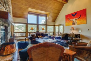 Smart TV, fireplace, books, music library