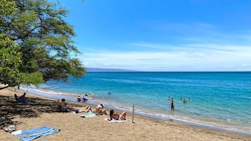 Plage à proximité, chaises longues, serviettes de plage
