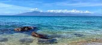 Coastal Paradise 🏝️ Private 3 Bedroom - AC, Pool, Spa, Beach, WFH